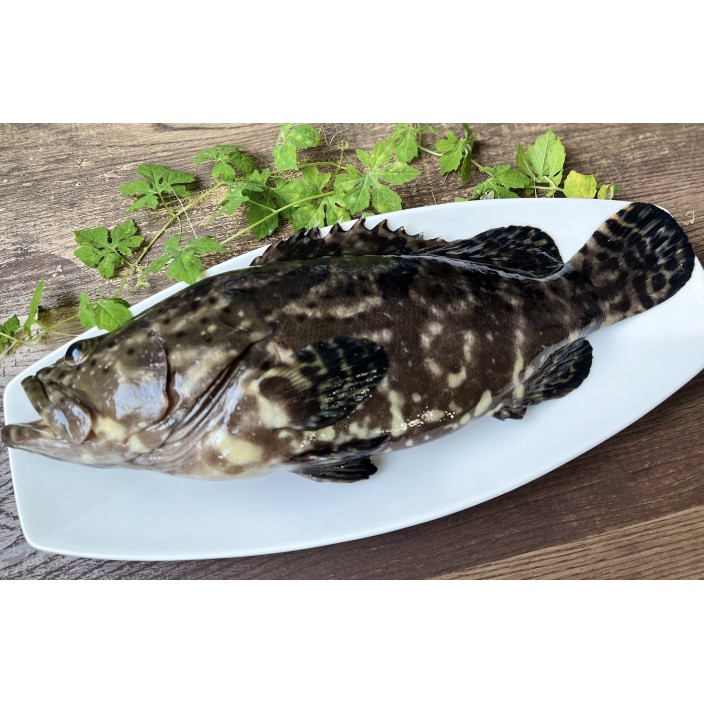 國產龍虎斑魚 (450g↑/包)