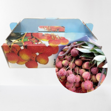 大樹大玉荷包(粒裝)3公斤/盒