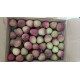 【預購商品】荔粒圓滿玉荷包(粒)1.8公斤/盒