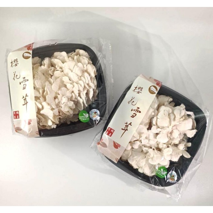 【預購中】優菇家有機櫻花雪茸菇120g*24入/箱【產地直送】