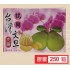 【預購】吳佳勳特級鶴岡文旦 3kg/箱(6顆以上)