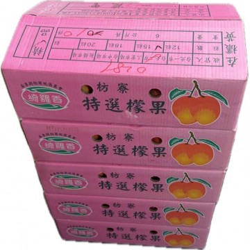 國產愛文芒果6公斤/箱