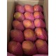 國產愛文芒果6公斤/箱