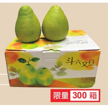【預購】斗六極品文旦 3公斤/箱 ，5顆以上