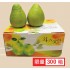 【預購】斗六極品文旦 3公斤/箱 ，5顆以上