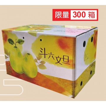 【預購】斗六極品文旦 6公斤/箱，11顆以上
