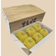山樂農產甘露梨 5公斤/盒，6顆裝
