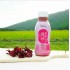 淺草堂洛神香草茶飲料 350ml/瓶*12/箱