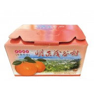 山海選東勢25A明正茂谷柑  3kg/盒【預計１／２６開始供應】