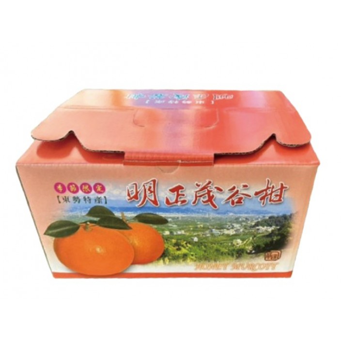 山海選東勢25A明正茂谷柑  3kg/盒【預計１／２６開始供應】