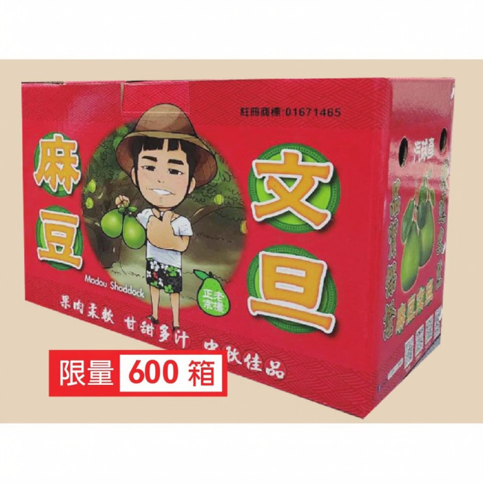 【預計9/1陸續出貨】汽球彥特級麻豆文旦 6公斤/箱，11顆以上