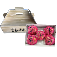 山樂農產甘露梨 5.5公斤/盒，5顆裝