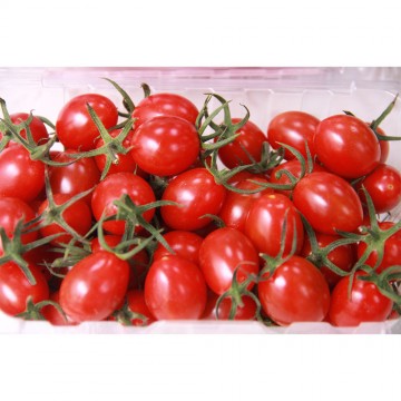 美世界果園玉女番茄600g*10盒/箱