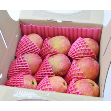 枋寮鄉農會綺羅香愛文芒果3kg(8-9粒)/盒