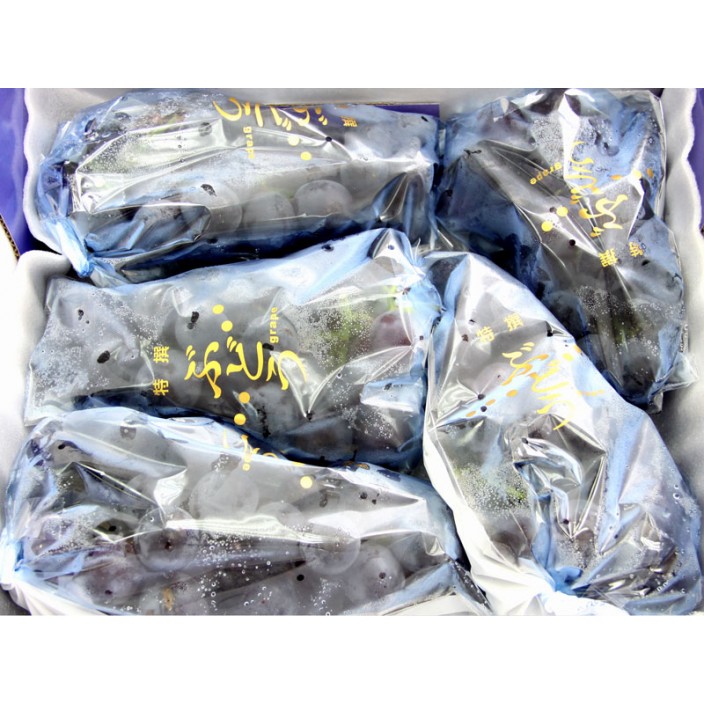 新社御品葡萄 2.5kg/盒【產地直寄免運費】 新社御品葡萄 2.5kg/盒【產地直寄免運費】