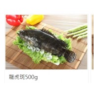 國產龍虎斑魚 (450g↑/包)