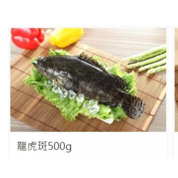 國產龍虎斑魚 (450g↑/包)